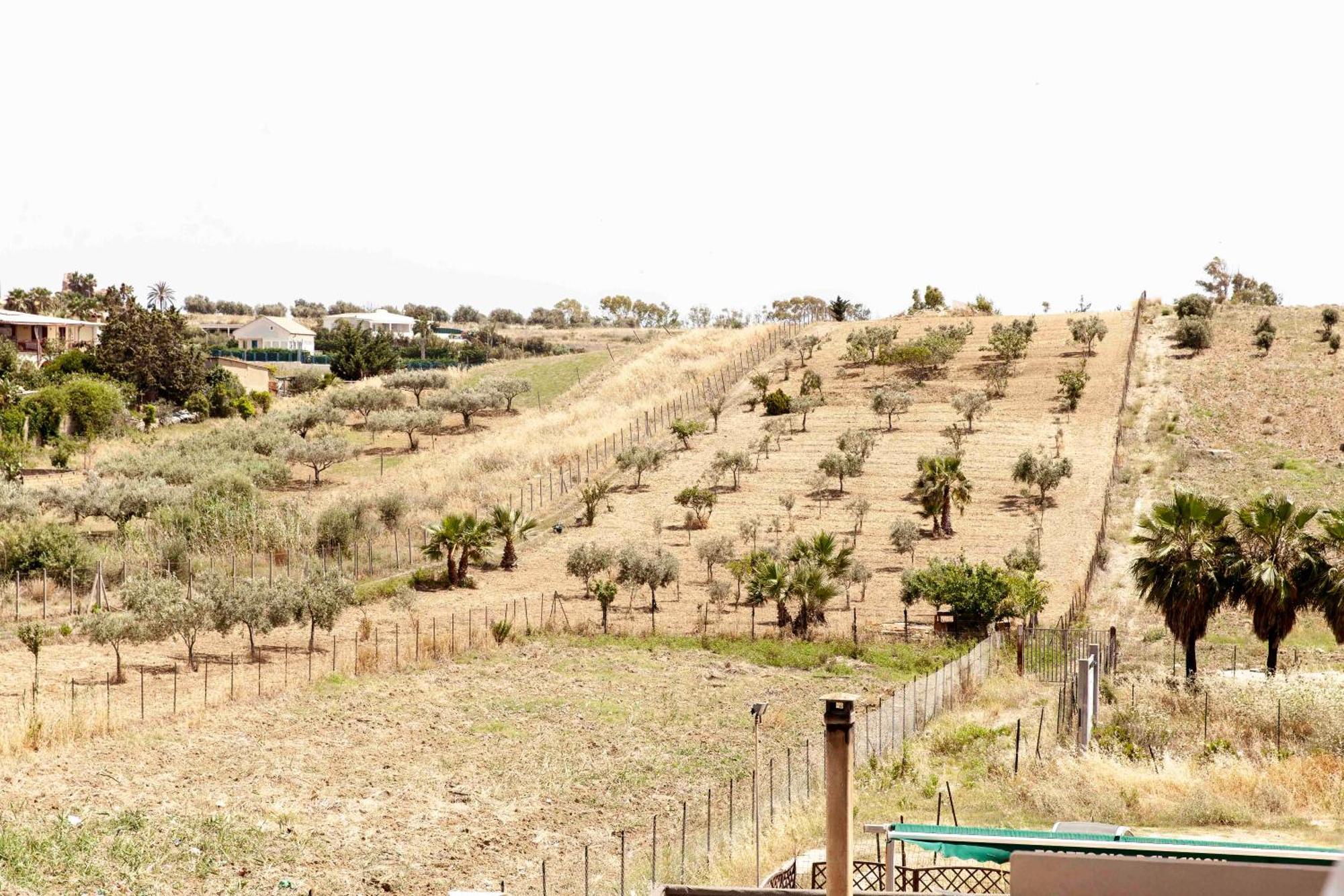 Le Case Di Lucioli' San Leone Exteriér fotografie